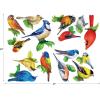 RoseArt – Mini-Shaped – Songbirds II – 500 Piece Jigsaw Puzzle for Adults