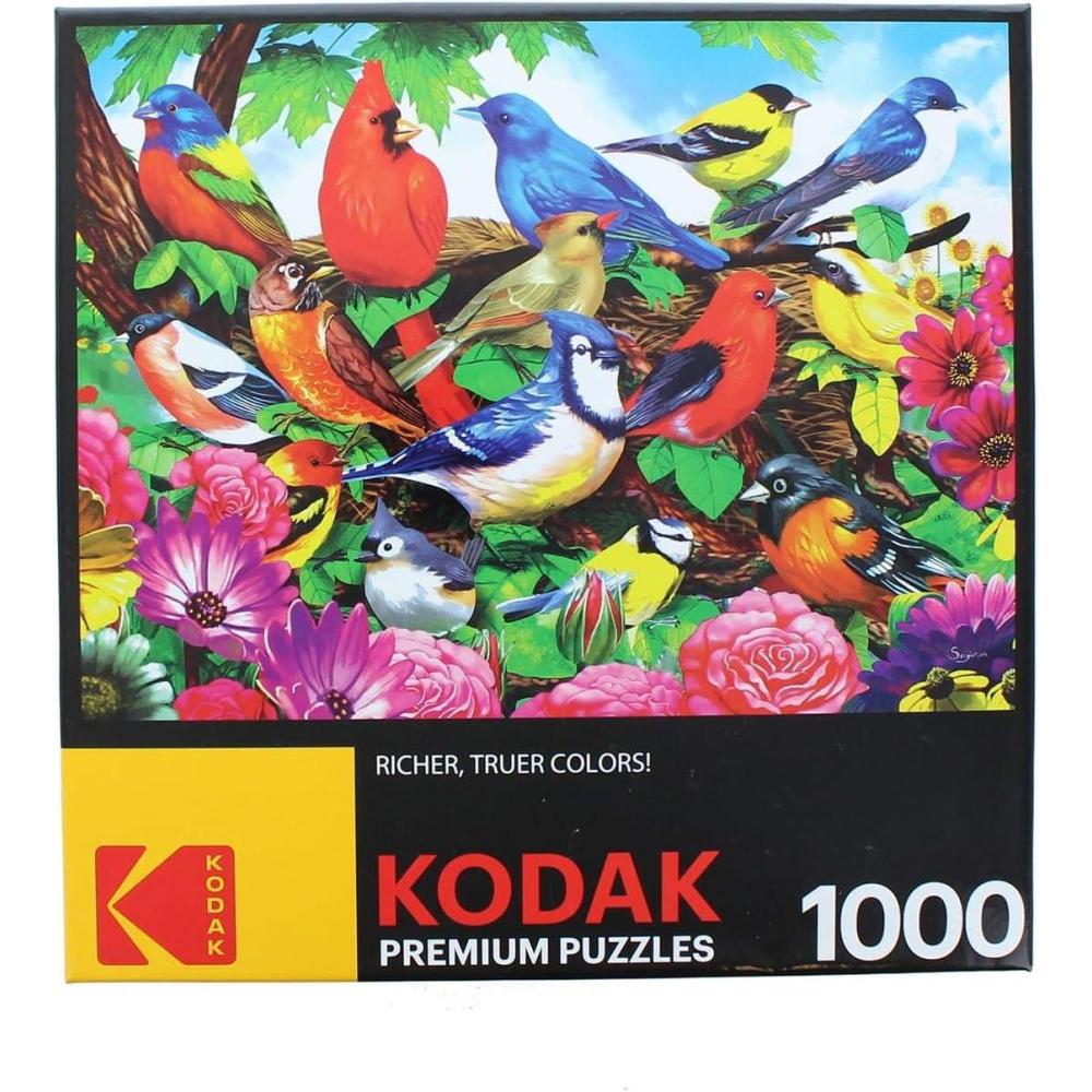 image:imageRoseArt Kodak Premium Montpelier Vermont Townscape 1000 Piece Jigsaw Puzzle for AdultsFriendly Birds